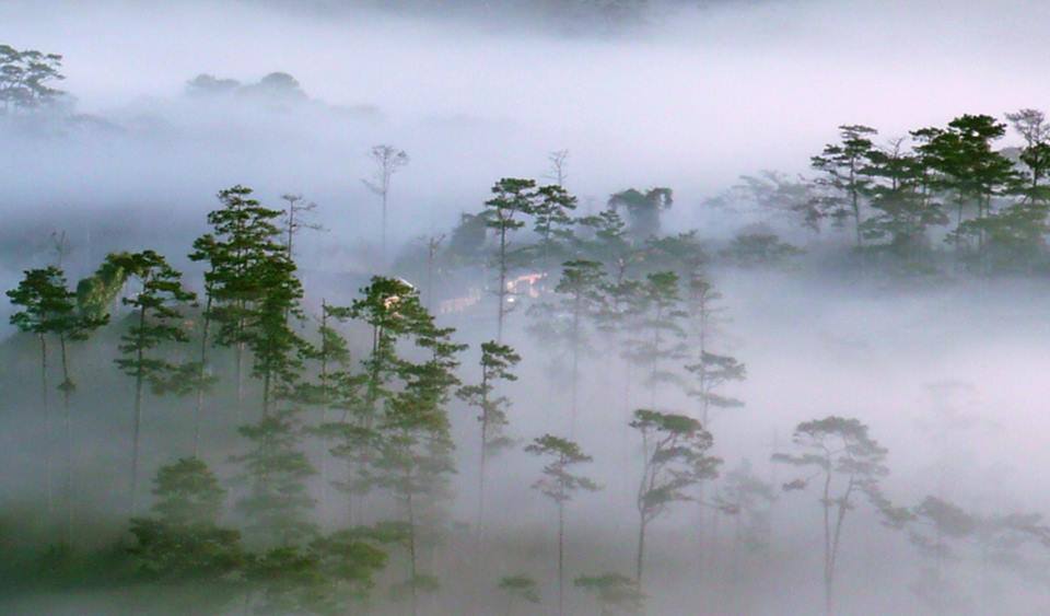 Ho Chi Minh Car Rental To Mui Ne,Da Lat - Ren A Van For Tour