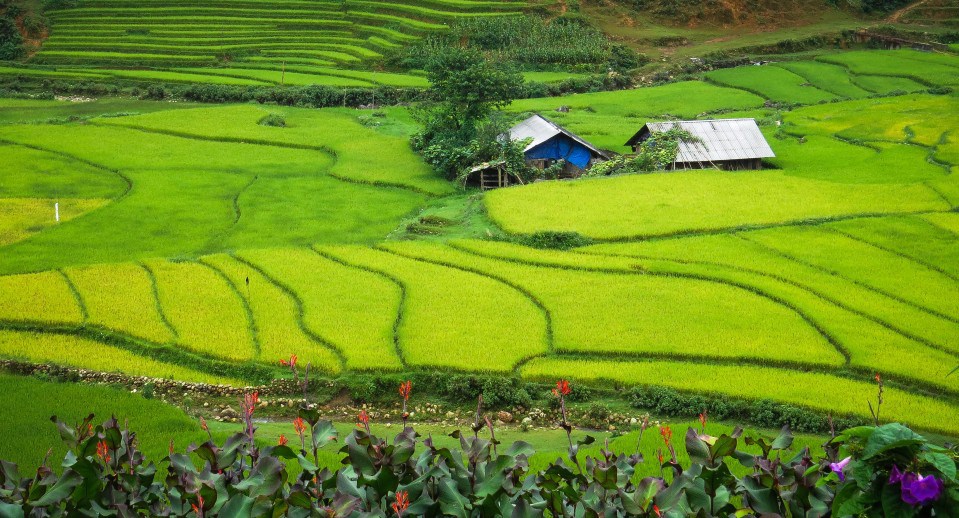 6Days Hanoi Tours | Halong | Sapa | Bac Ha Market sightseeing