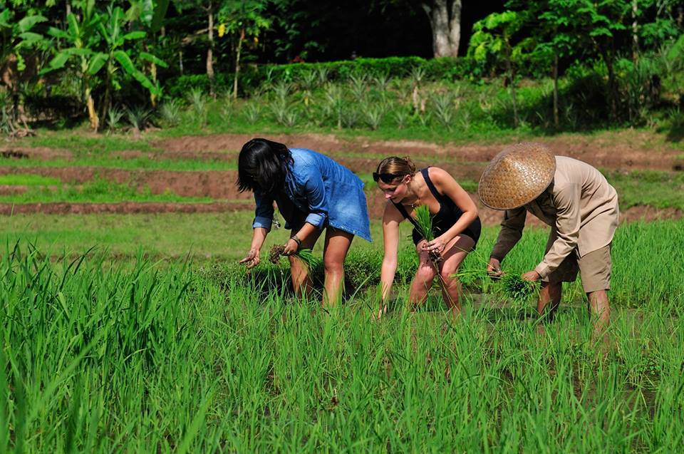 Cheapest Mekong Delta Tour 2 Days From Ho Chi Minh