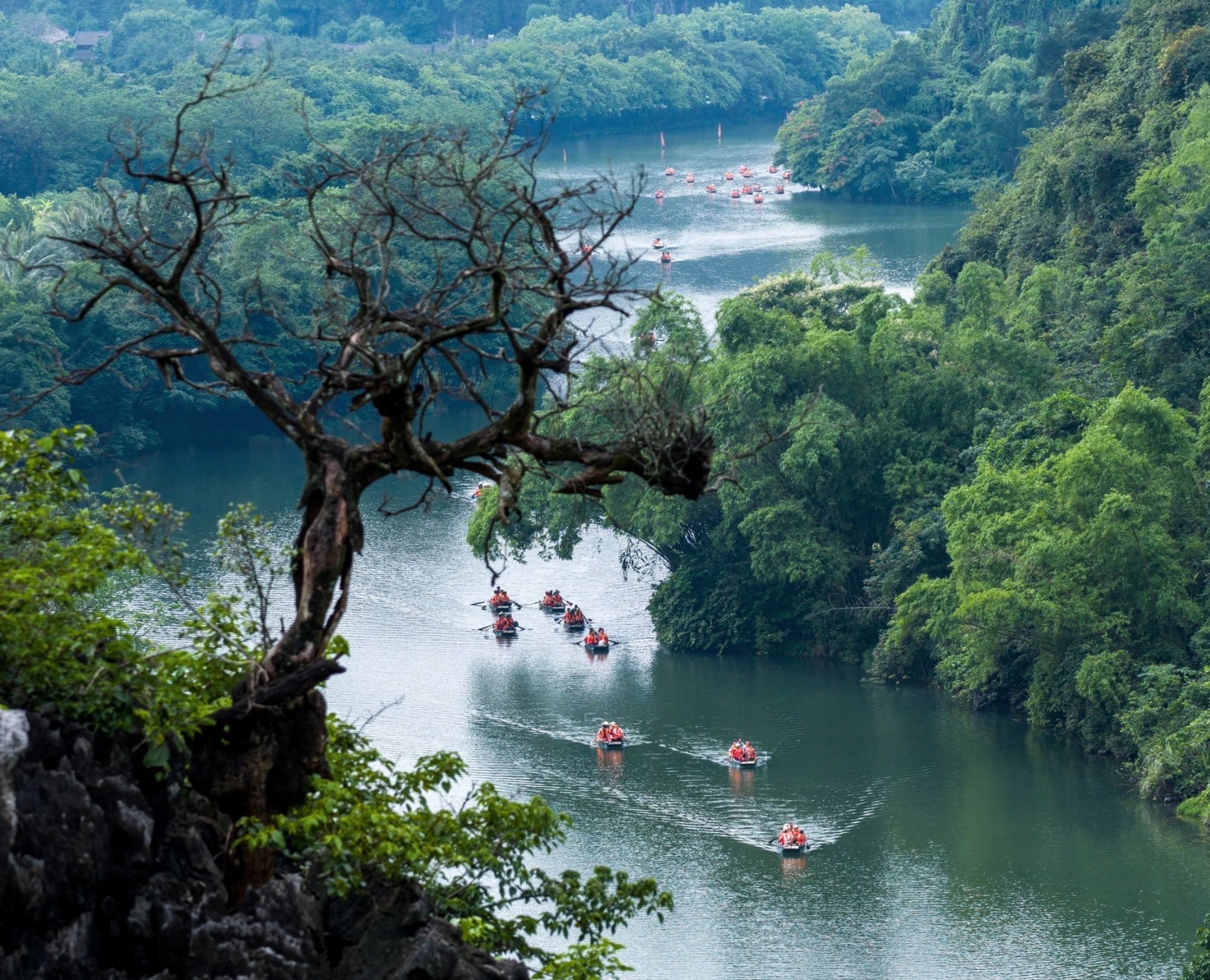 Breathtaking view of Trang An in Ninh Binh featuring limestone karsts, lush greenery, and peaceful river boat tours