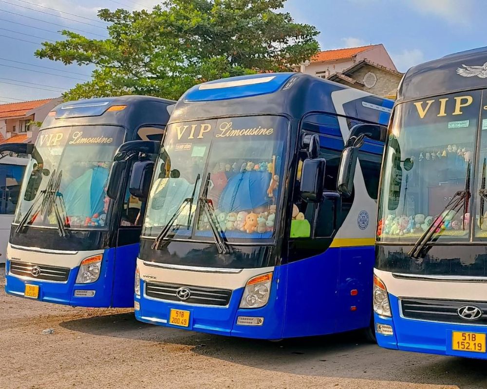 Bus Ho Chi Minh Airport Transfers To Cantho