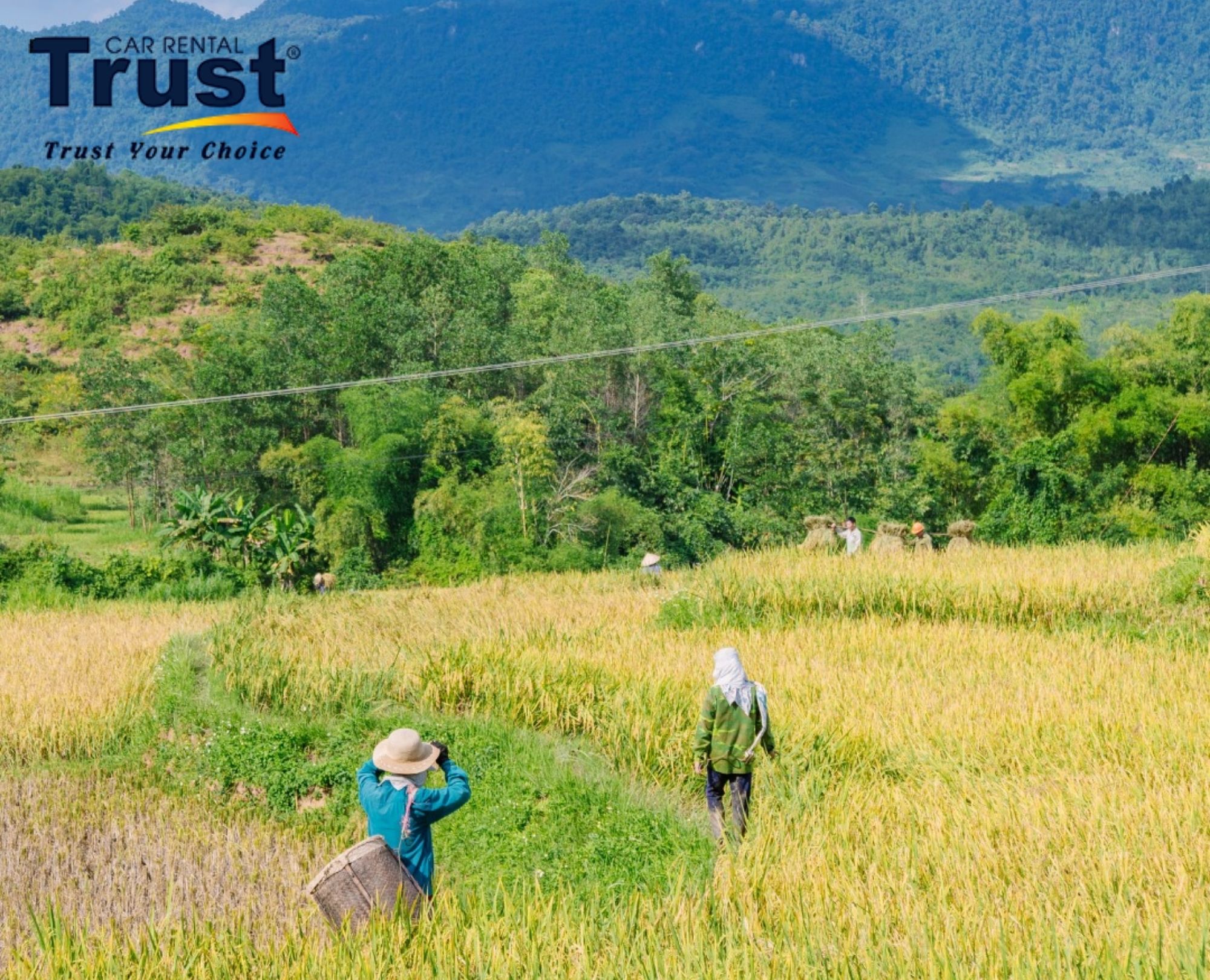 Experience authentic rural life and the harvest season in Mai Châu. Plan your trip with a Private car Nghia Lo to Mai Chau