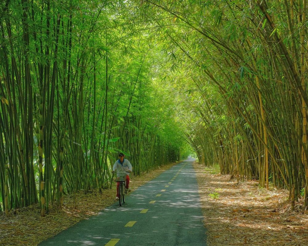 Gao Giong Eco-Tourism Park