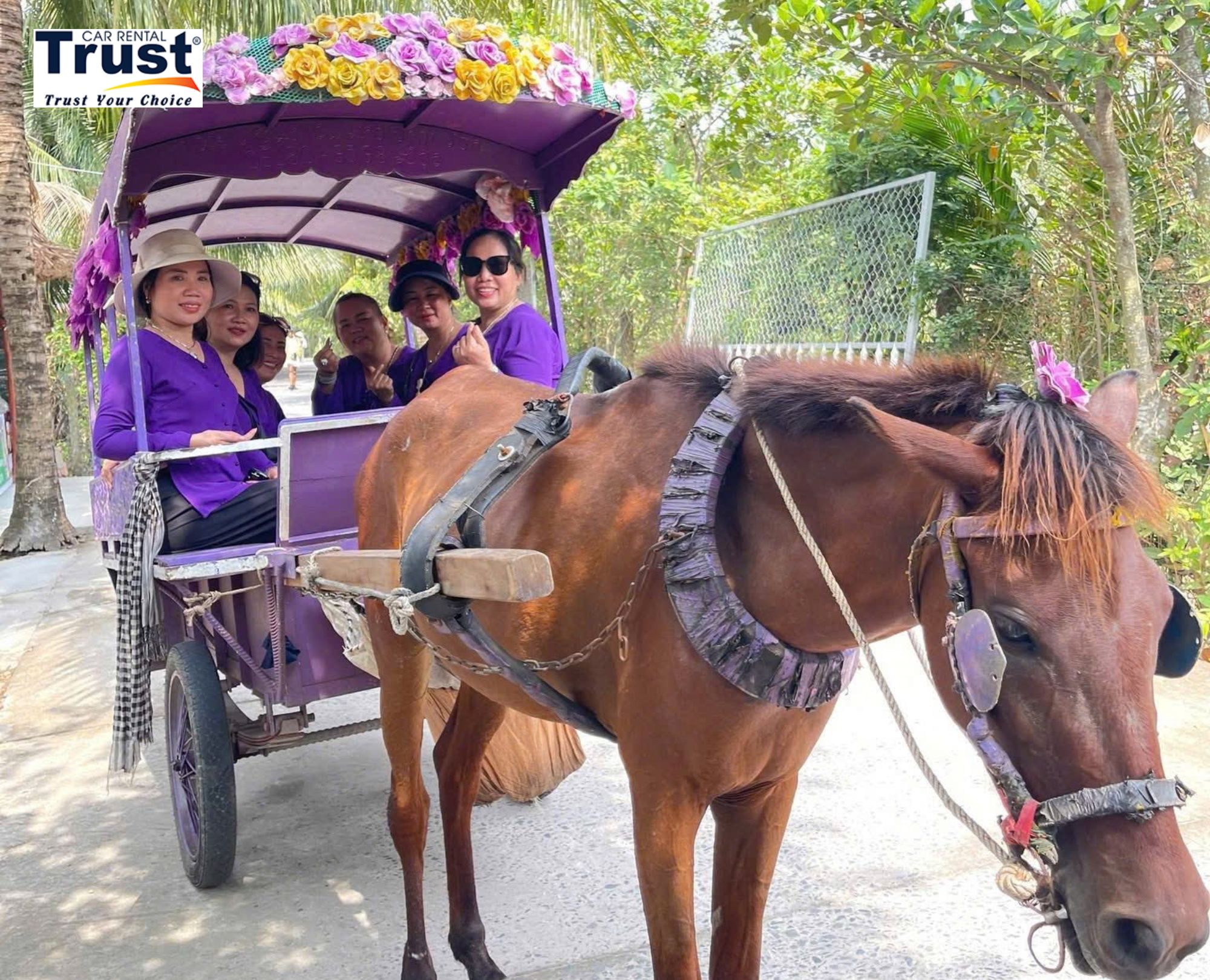 group-of-individuals-enjoying-a-horse-drawn-cart-ride-adorned-with-flowers-in-the-mekong-delta