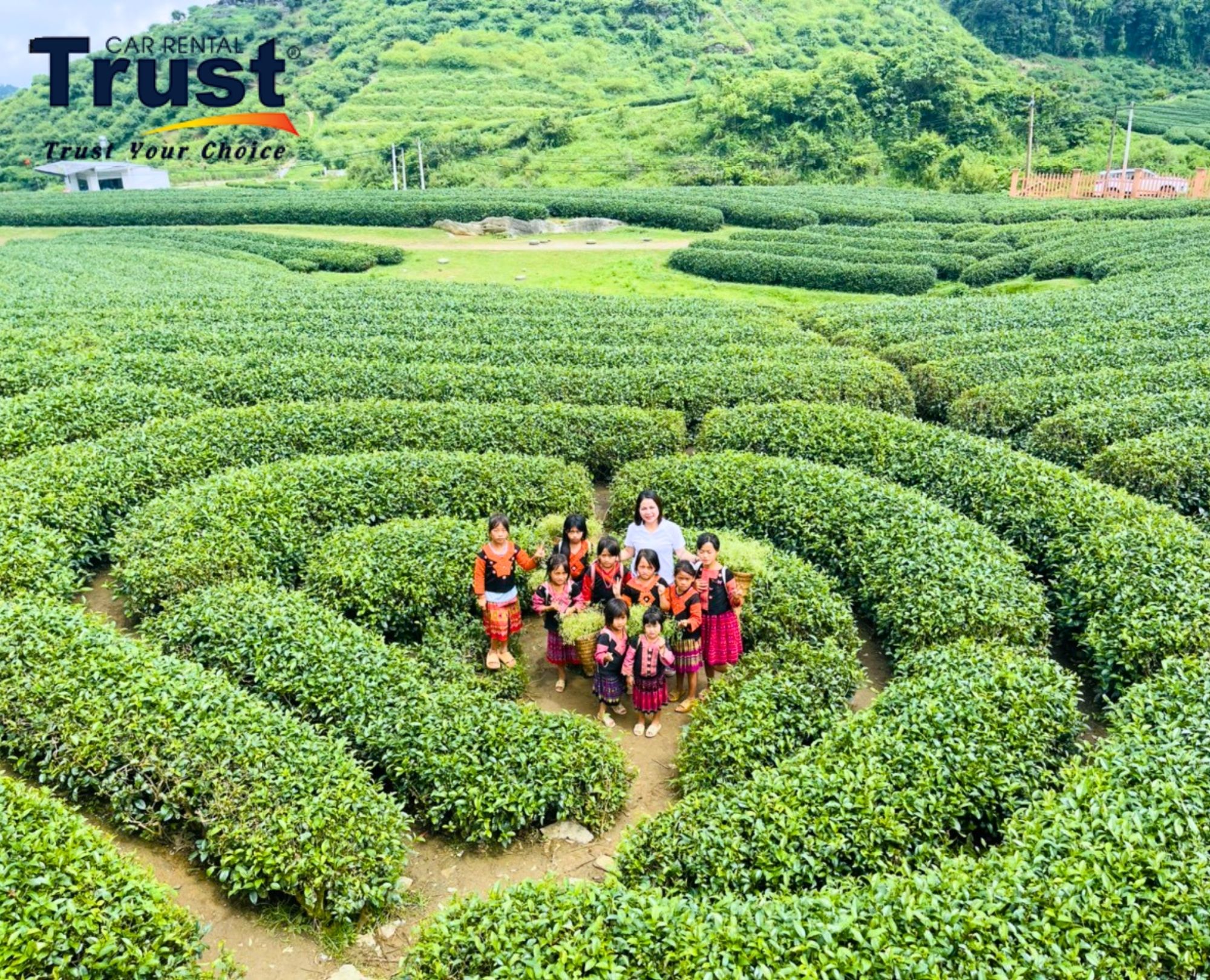 Heart-shaped Tea Hill