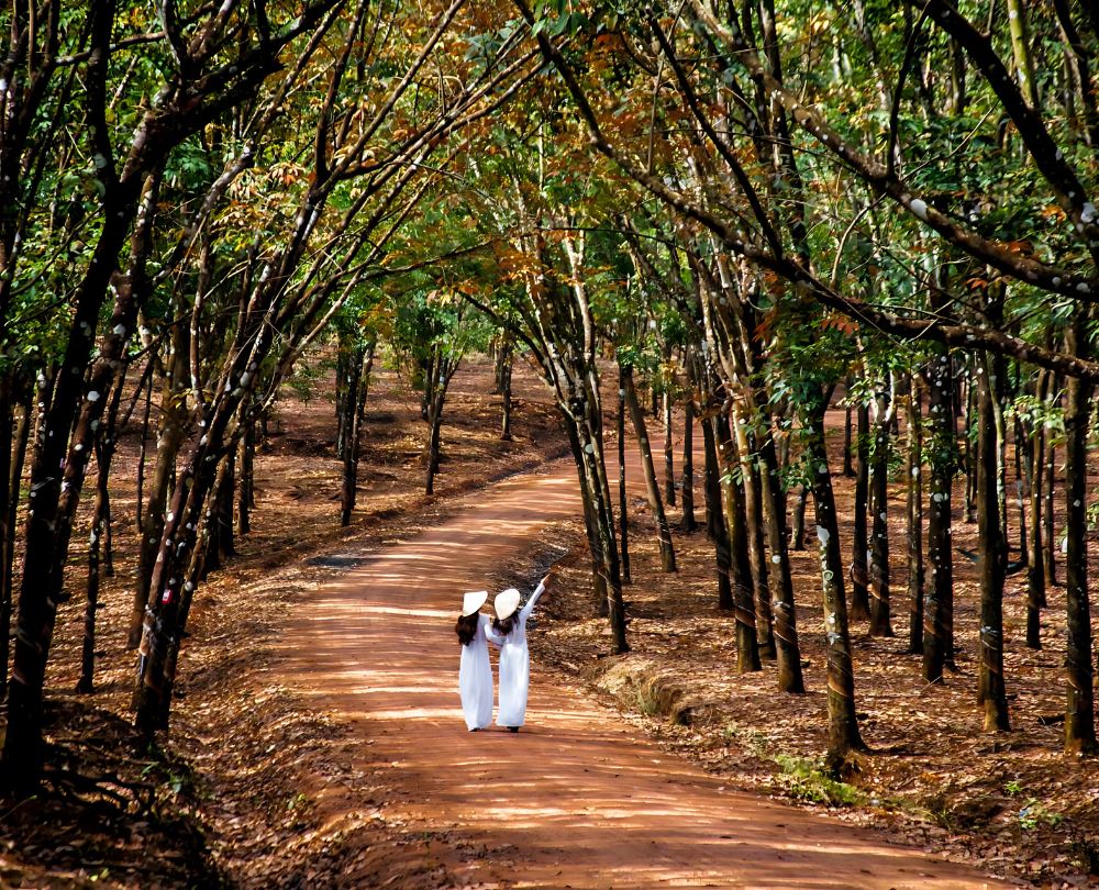 Ho Chi Minh To Pleiku Gia Lai