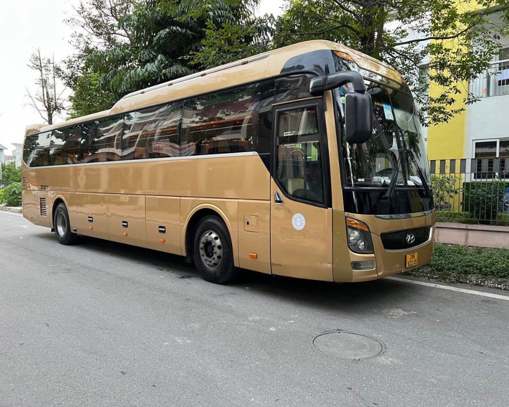 Huyndai Univer Bus 50 seats