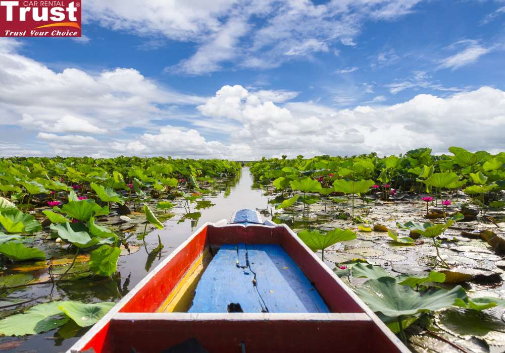 Lang Sen wetland in Long An