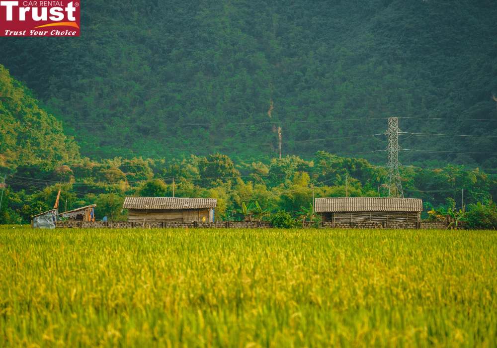 Mai Chau