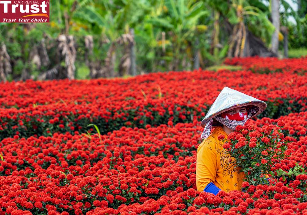 Sa Dec Flower Village