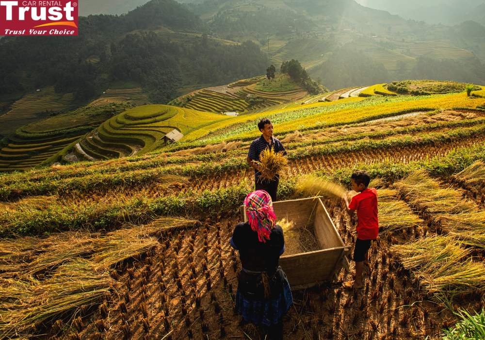 Sapa to Mu Cang Chai