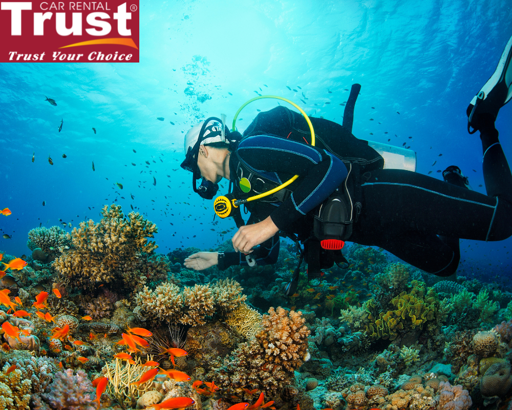 Scuba diving to watch the coral