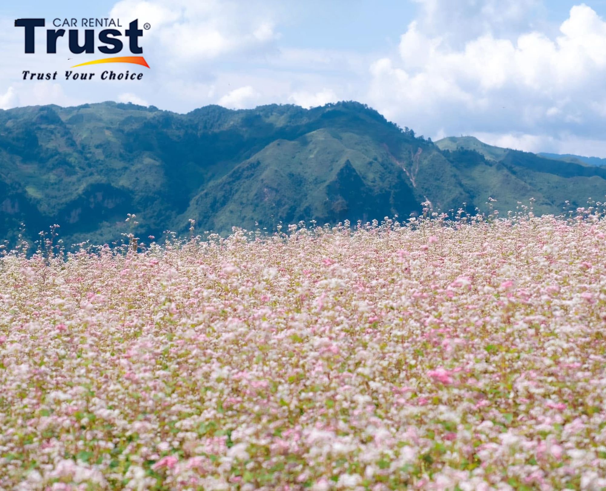 Suoi Thau flower meadow reminding visitors to stay on the path and respect the land