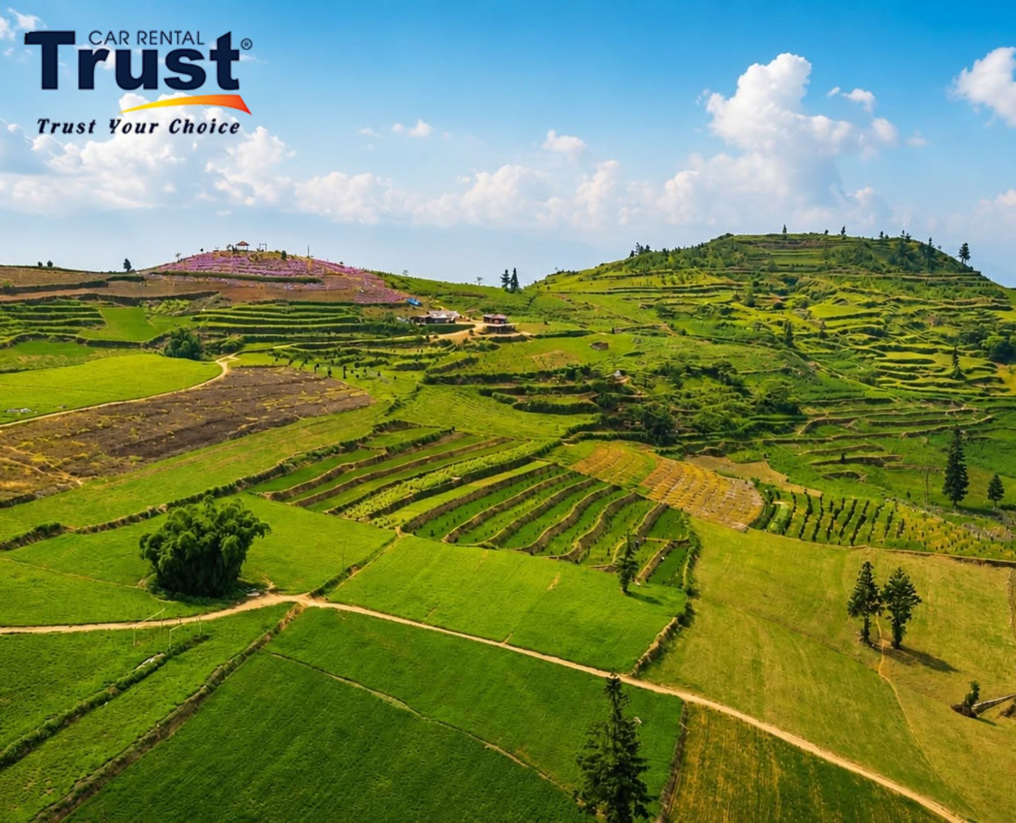Suoi Thau in peak green season, terraced rice paddies glowing under a bright blue sky