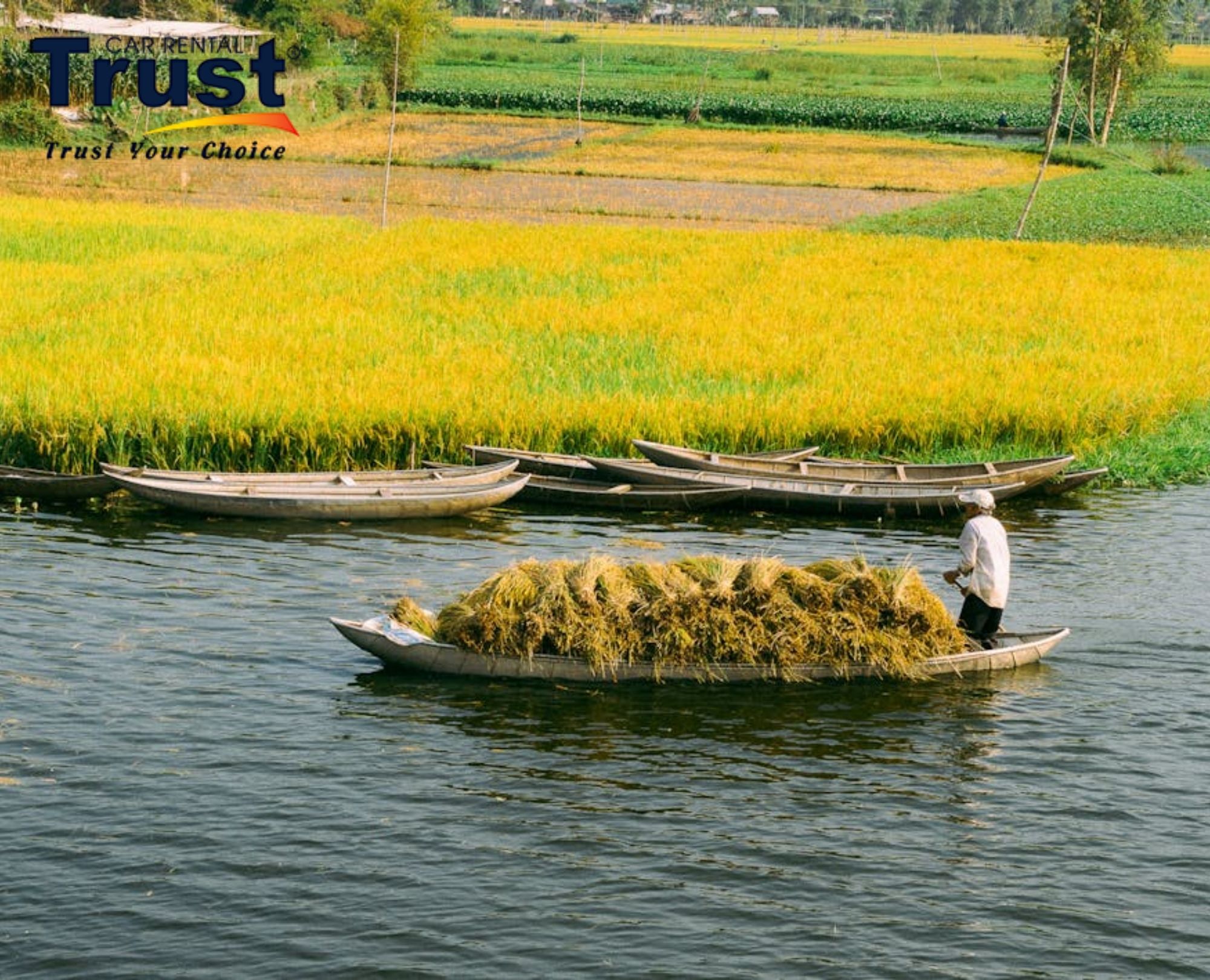 traditional-boat-ride-through-the-golden-ripe-rice-fields-of-ninh-binh