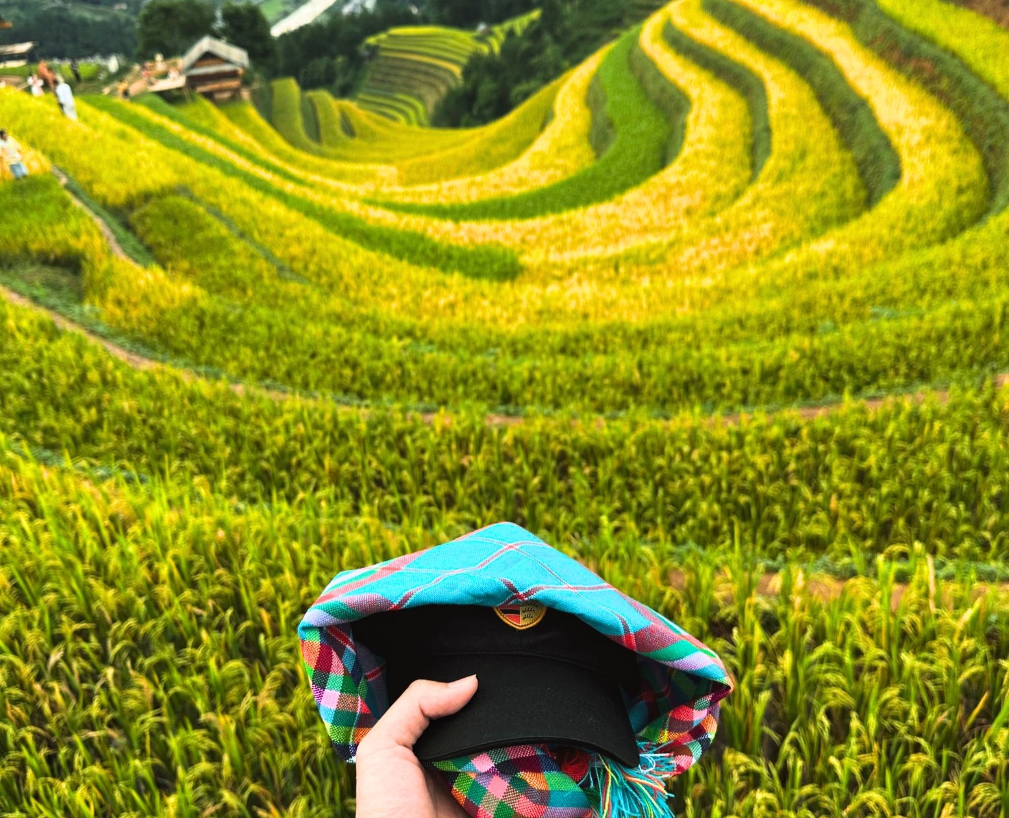 Traveler enjoying the stunning view of golden rice terraces in Tram Tau
