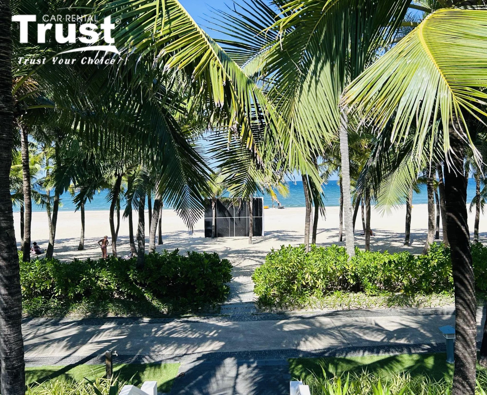 tropical-view-of-my-khe-beach-danang-showing-white-sand-blue-ocean-and-lush-palm-trees-framing-the-path-to-the-water