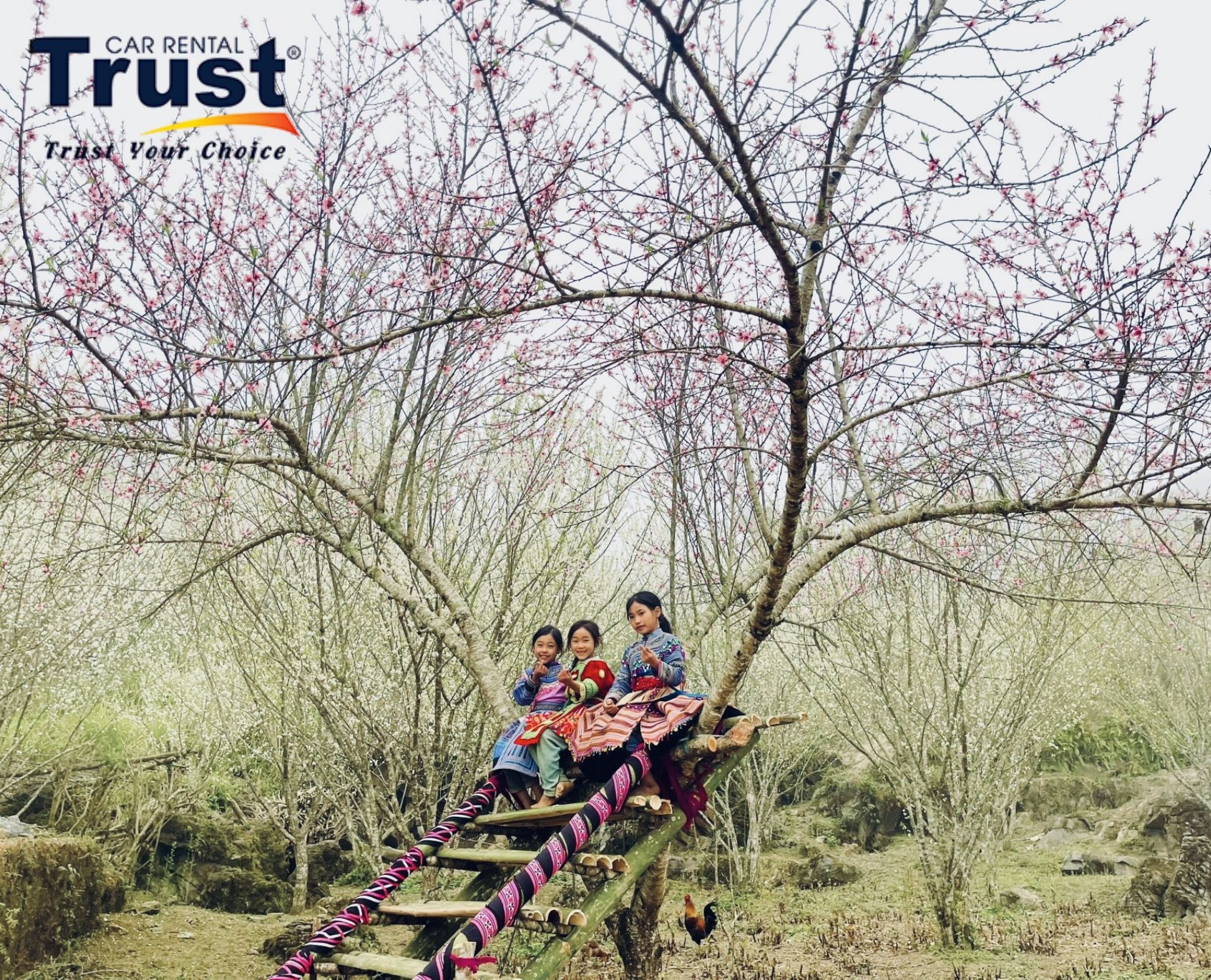 when-is-the-ideal-time-to-explore-bac-ha-tourist-attractions