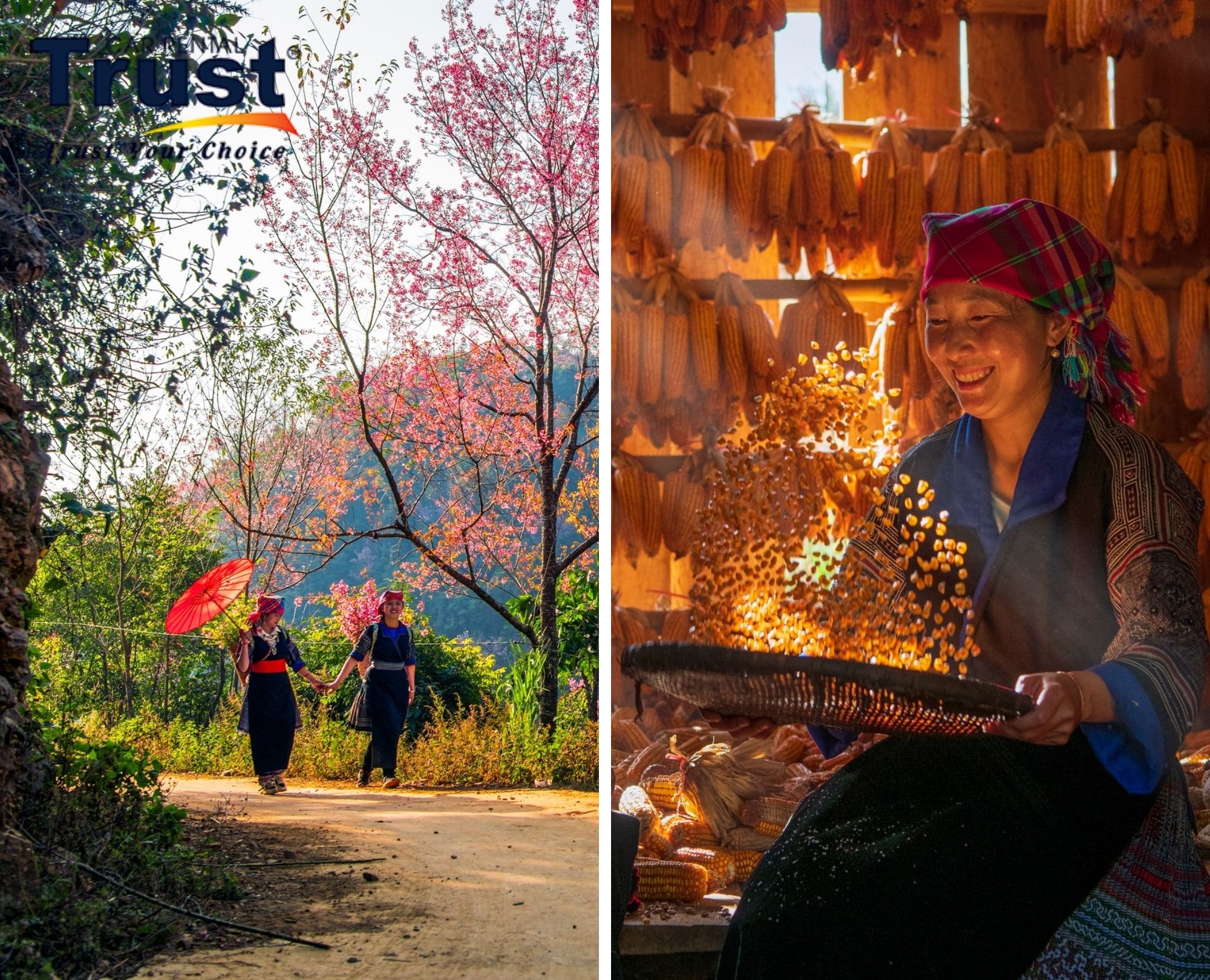 Where are Mu Cang Chai and Nghia Lo