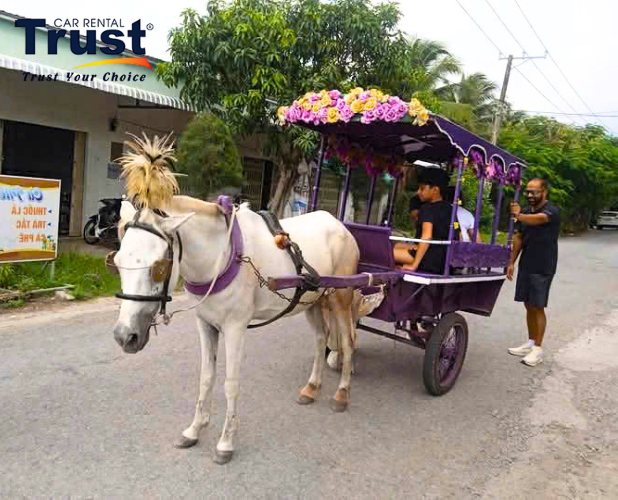 White horse pulling a purple, flowery cart in the Mekong region