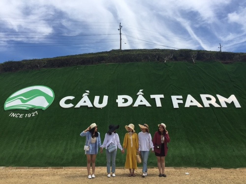 2Days Dalat Tour From Ho Chi Minh | Dalat Private Tours Hình