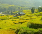 What Is The Best Season To Visit The Sapa Vietnam?