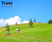 Suoi Thau Grassland Travel Guide: Best Time, Routes & Tips
